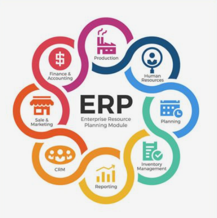 Discover the Best ERP Software Company in the UAE Streamlining Business Success