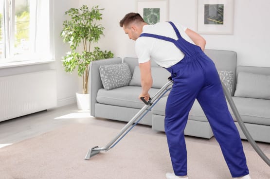 6 Best Cleaning Tips to Remove Pet Hair from Carpets – Toronto Steam N Clean