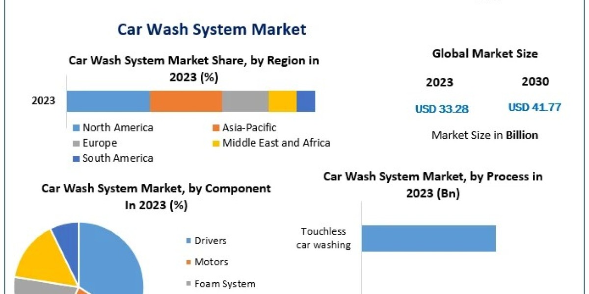 Car Wash System Market Analysis: Competitive Landscape and Market Share