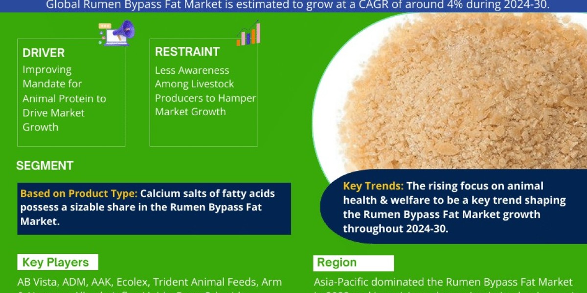 Rumen Bypass Fat Market Research Report 2024-2030: Industry Expected to Grow Approx. 4% CAGR