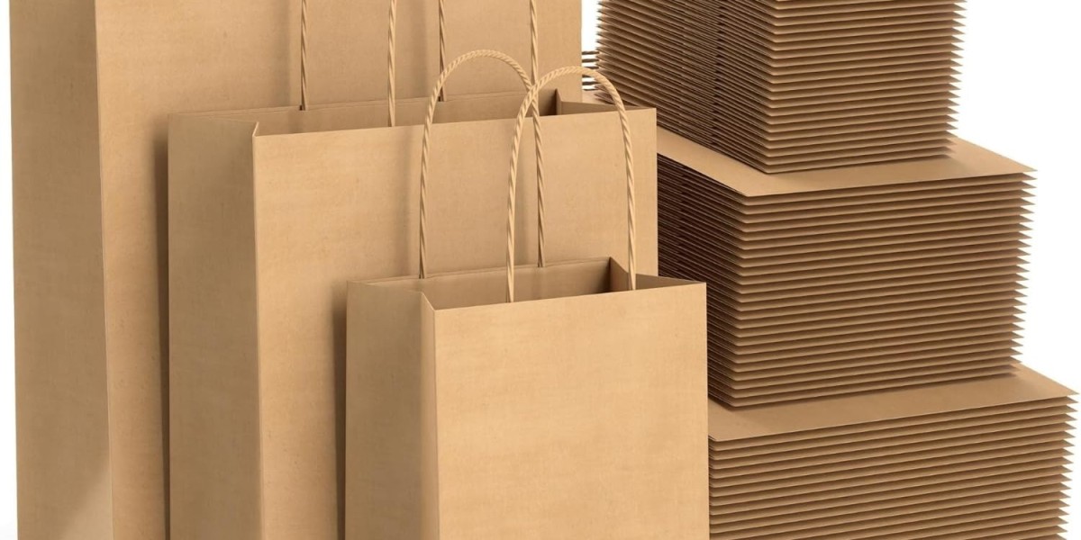 Paper Shopping Bags Manufacturing Plant Cost Report 2024: Setup Details, Business Plan and Raw Material Requirements