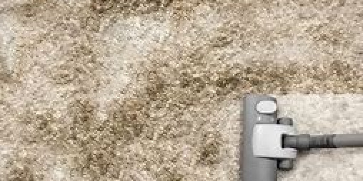 Experience the Ultimate Comfort with Professional Carpet Cleaning