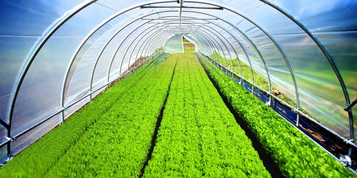 United States Agricultural Films Market Size, Industry Trends, Forecast 2024-32