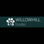 willowhilldoodles Profile Picture
