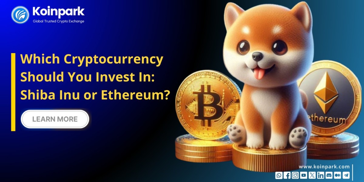 Which Cryptocurrency Should You Invest In: Shiba Inu or Ethereum?