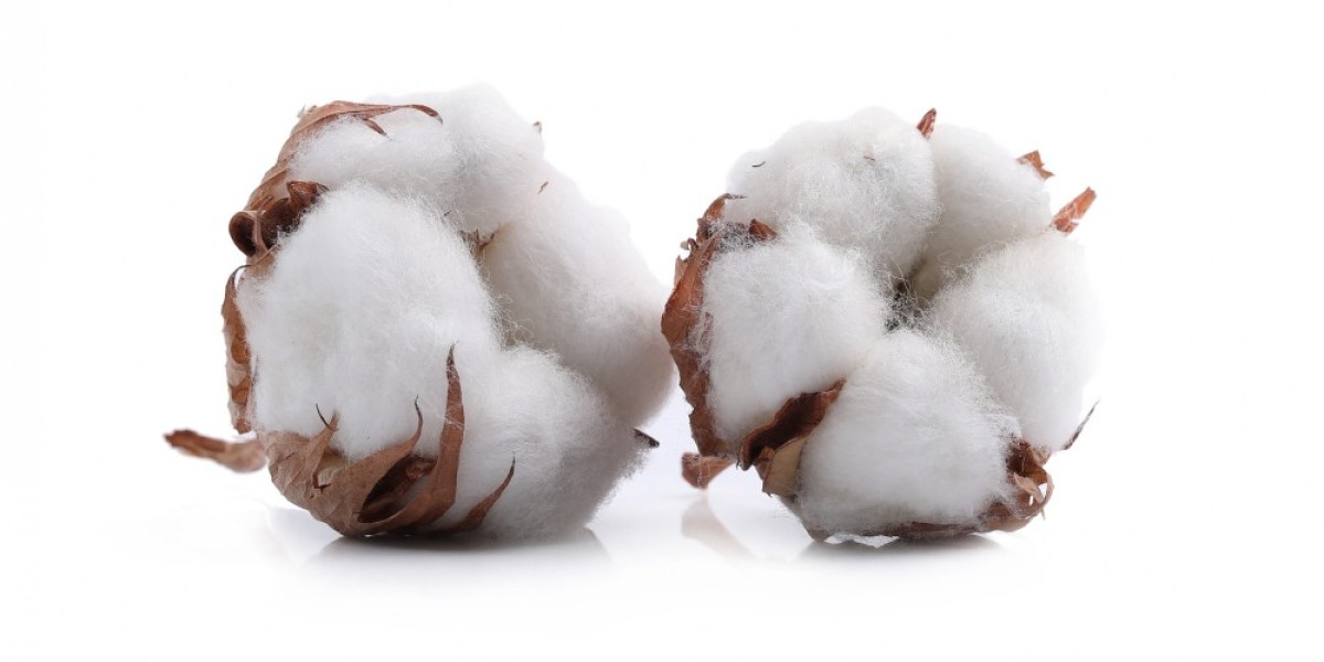 Cotton Futures and Price Discovery on MCX: A Detailed Analysis