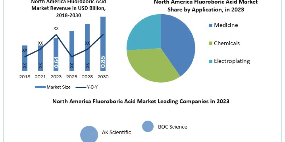North America Fluoroboric Acid Market Report Cover Market Size, Top Manufacturers, Estimate and Forecast 2029