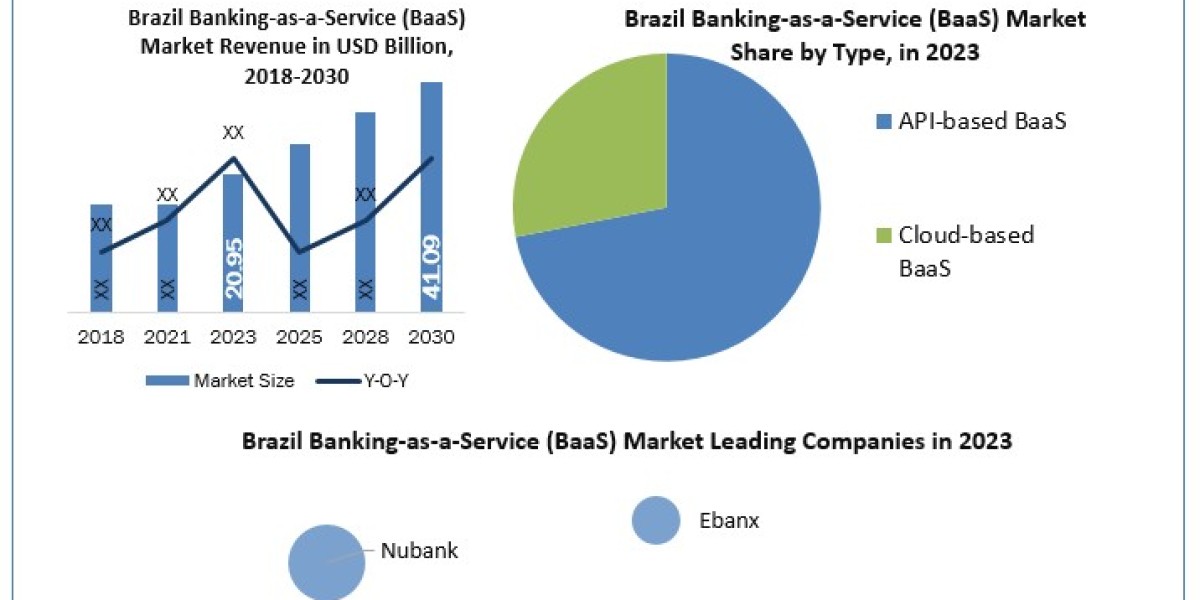 Brazil Banking-as-a-Service (BaaS) Market  Statistical Spectrum: Exploring Segmentation, Outlook, and Market Trends  202