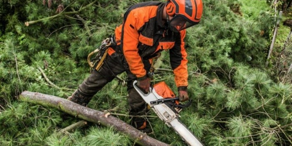 Tree Pruning Services