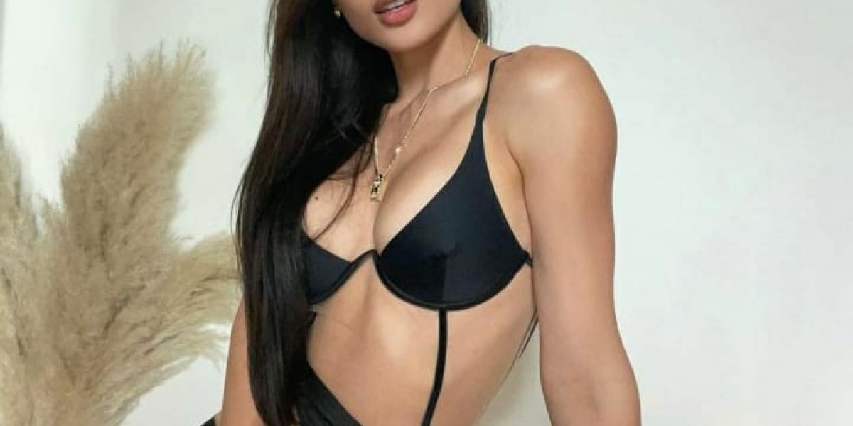 Welcome to Udaipur Escorts