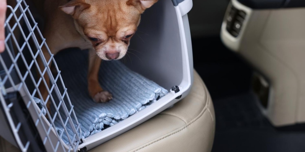 DogBox: The Ultimate Solution for Secure and Stylish Pet Transportation