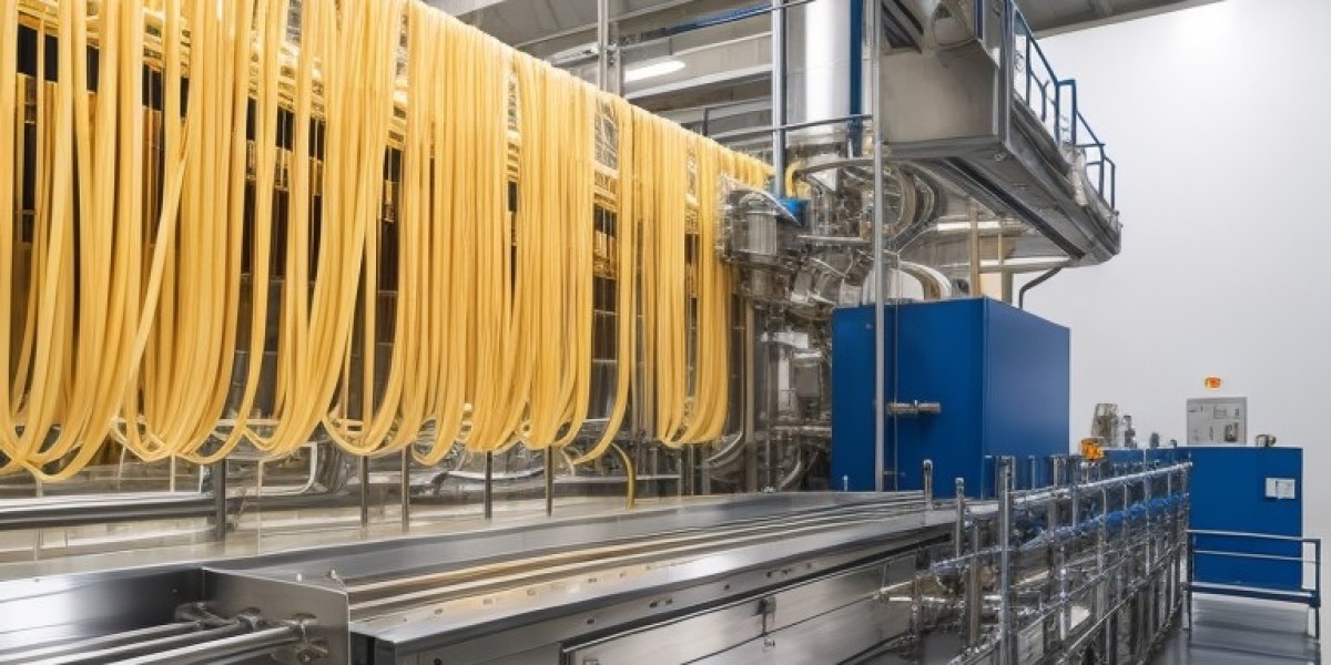 Prefeasibility Report on a Spaghetti Manufacturing Plant Project Setup Cost and Expanses