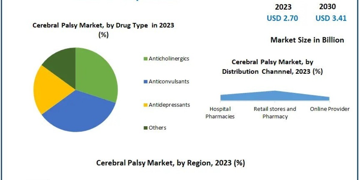 Cerebral Palsy Industry Outlook 2024-2030