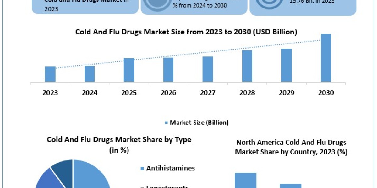 Cold and Flu Drugs Market Metrics Unleashed: Segmentation, Outlook, and Overview Trends | 2024-2030