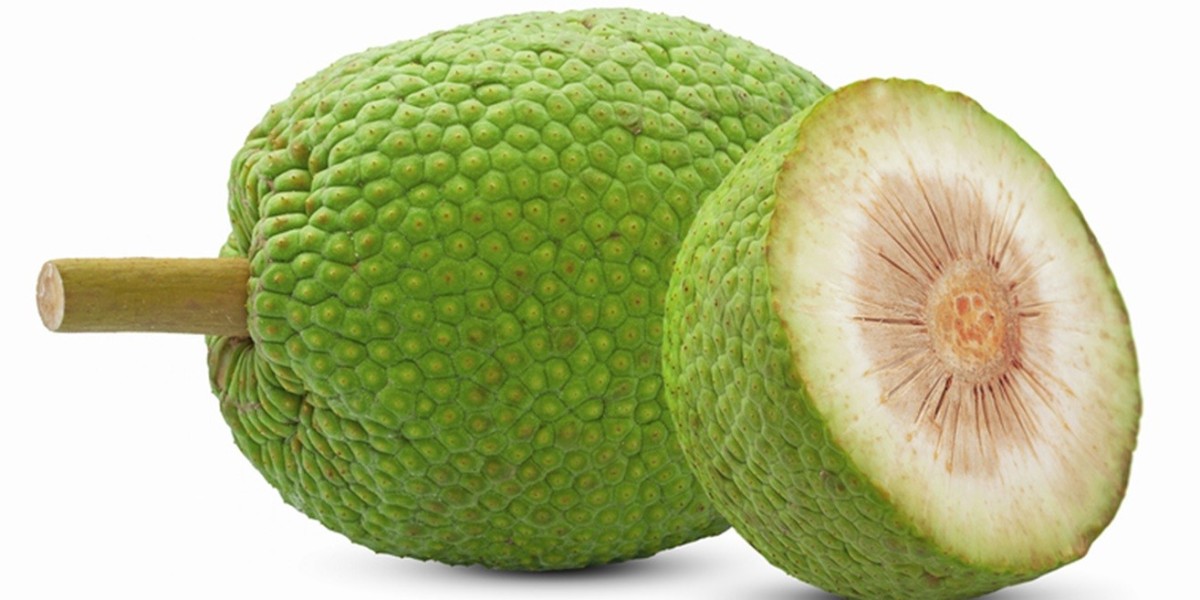Breadfruit Processing Plant Project Report 2024: Business Plan, Setup Details and Requirements