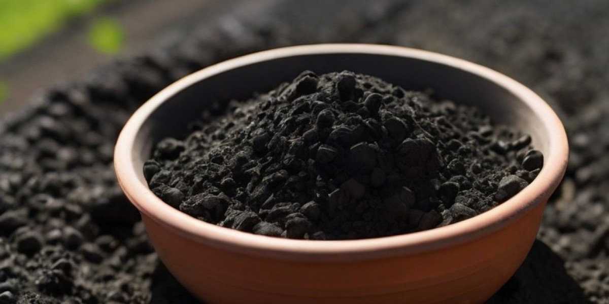 Biosolids Market Size, Share and Industry Analysis, Report 2024-2032