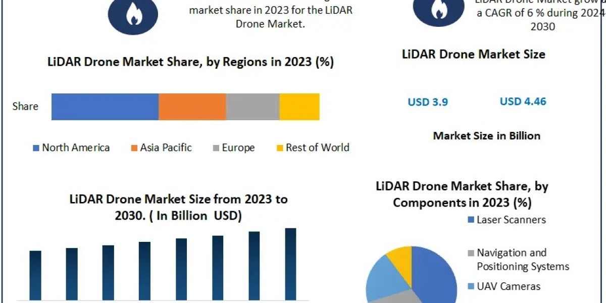 LiDAR Drone Market Mosaic: Segmentation, Outlook, and Overview for Business Success | 2024-2030