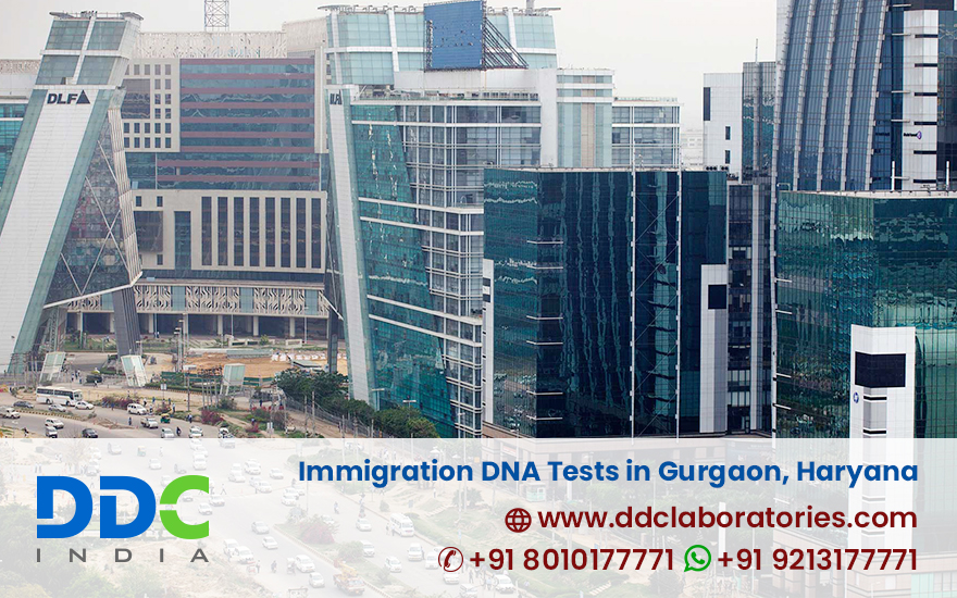 Accredited Immigration DNA Tests in Gurgaon