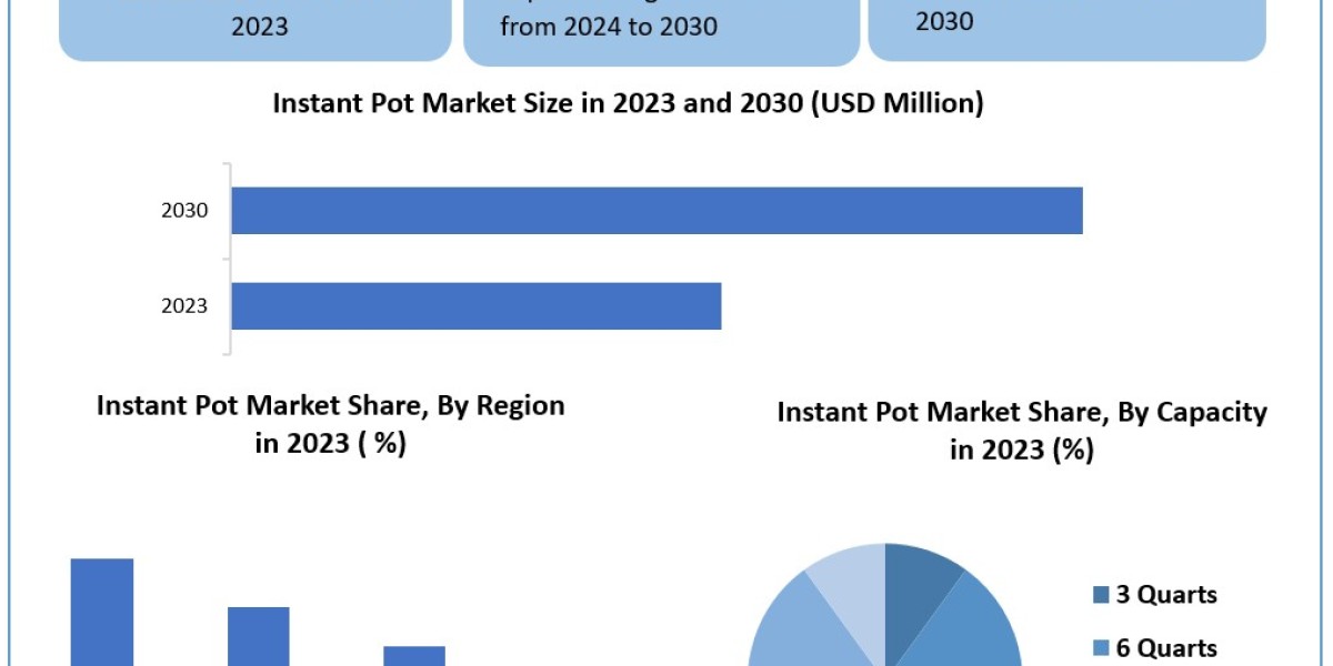 Instant Pot Industry Unveiling Growth Potential and Forecasted Outlook for 2024-2030