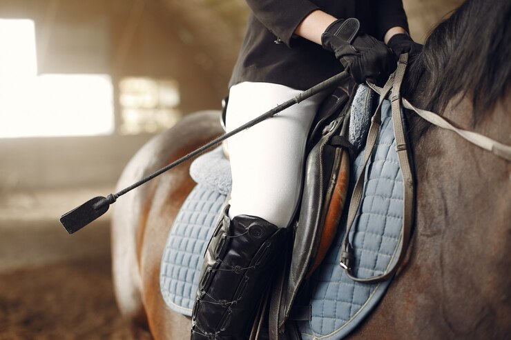 10 Essentials You Can Find in a Well-Equipped Horse Tack Shop – All things important to me