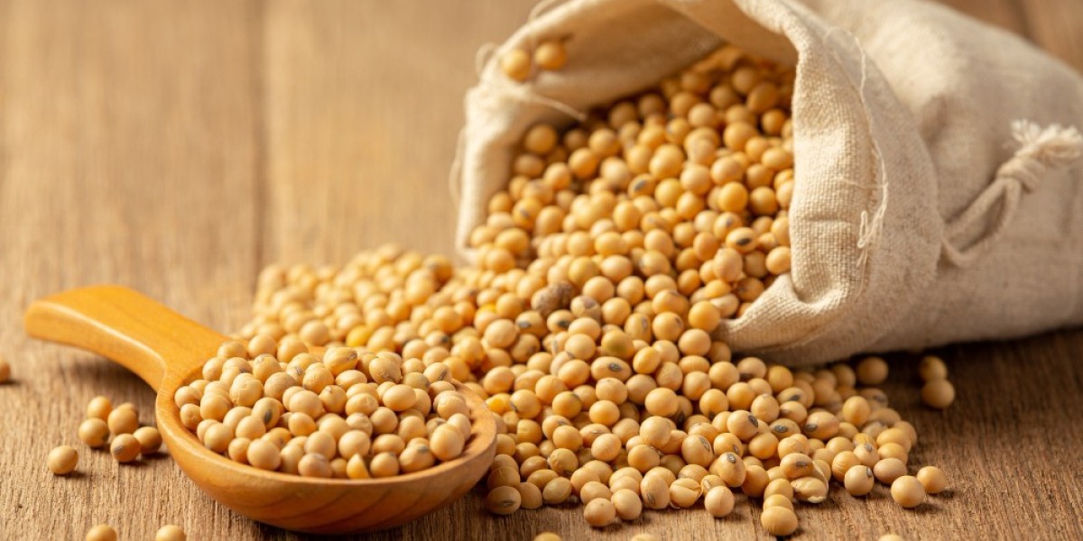 What Factors Influence the Importance of Soybean in Global Markets?