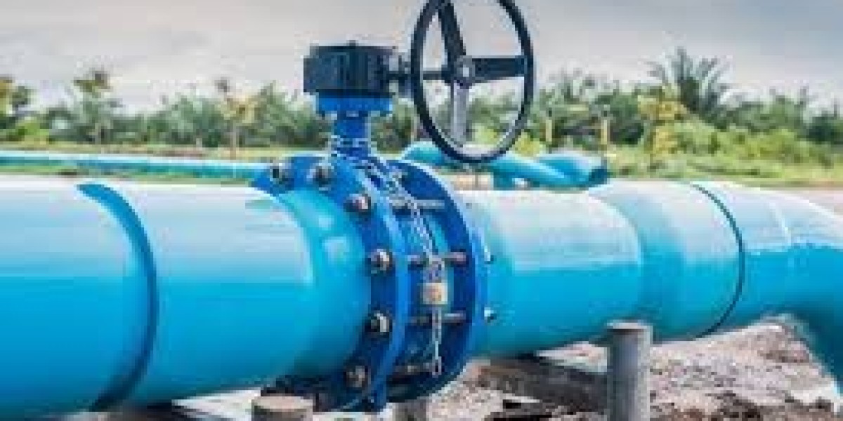 Asia Pacific Butterfly Valve Market Report 2024-2032