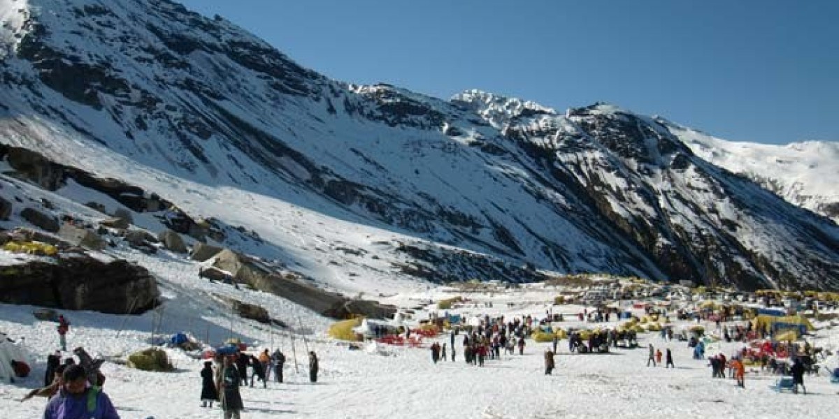 Travel agent in Manali