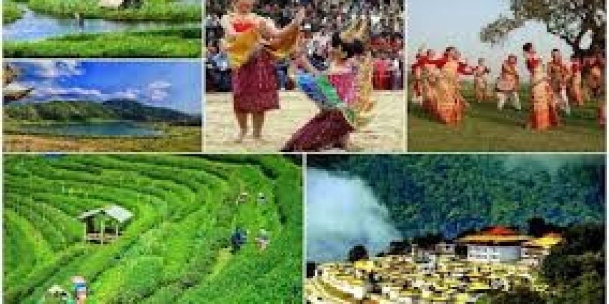 Assam Family Packages