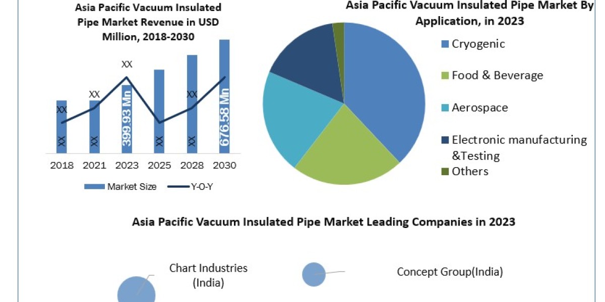Asia Pacific Vacuum Insulated Pipe Market Metrics Magic: Segmentation, Outlook, and Overview Trends 2024-2030