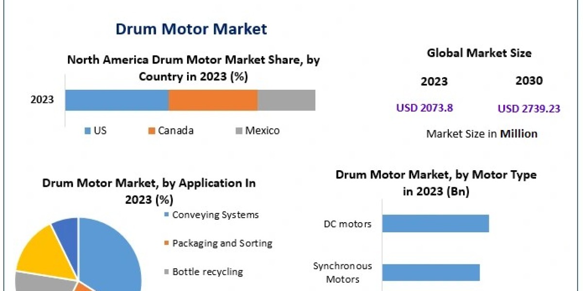 Strategic Analysis of The Global Drum Motor Market Forecast 2023-2030