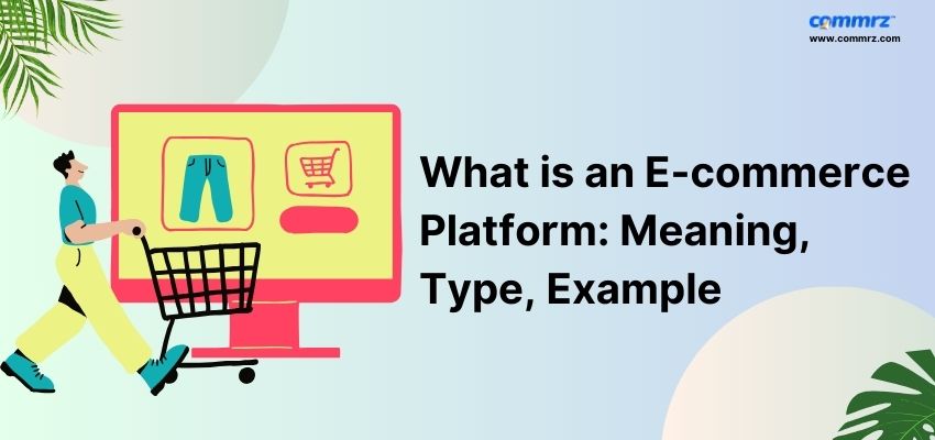 What is an E-commerce Platform: Meaning, Type and  Example