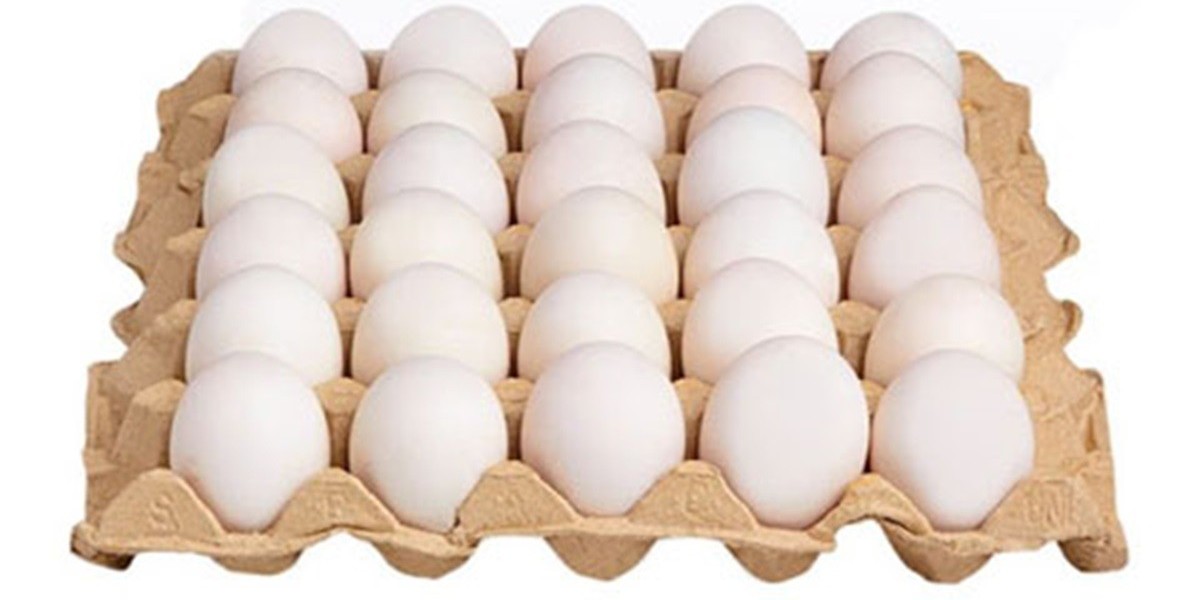 Egg Tray Manufacturing Plant Project Report 2024: Raw Materials, Machinery and Materials Requirement