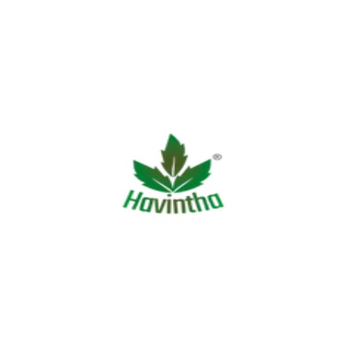 Havintha Official Profile Picture
