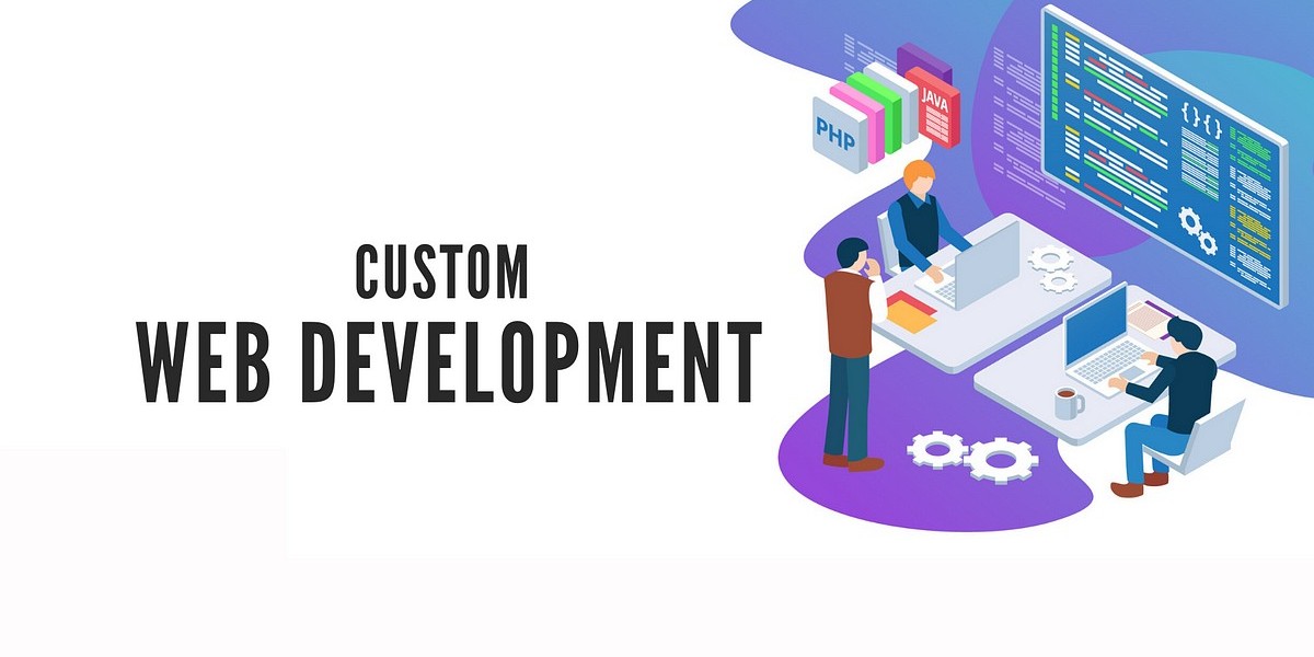 Custom Web Development in Siliguri | OMX Digital