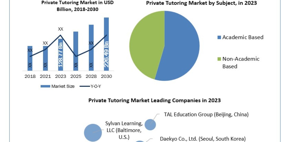 Private Tutoring Market Market Mastery: Exploring Segmentation, Outlook, and Overview in Dynamics 2024-2030