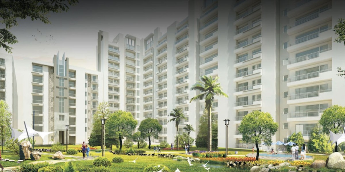 Delhi-NCR Dominates Luxury Apartment Demand: An Insight into the Real Estate Boom