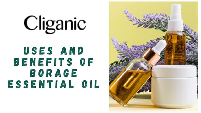 USES AND BENEFITS OF BORAGE ESSENTIAL OIL