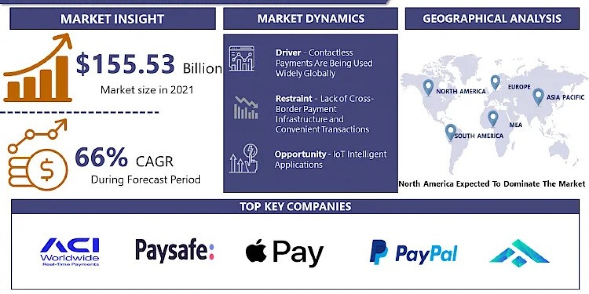 IOT Payments Market Unlock the Future: 2030 Market Report and Forecast