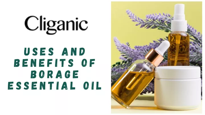 USES AND BENEFITS OF BORAGE ESSENTIAL OIL