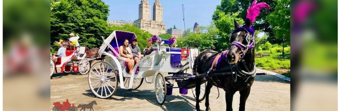 Central Park Carriage Tours Cover Image