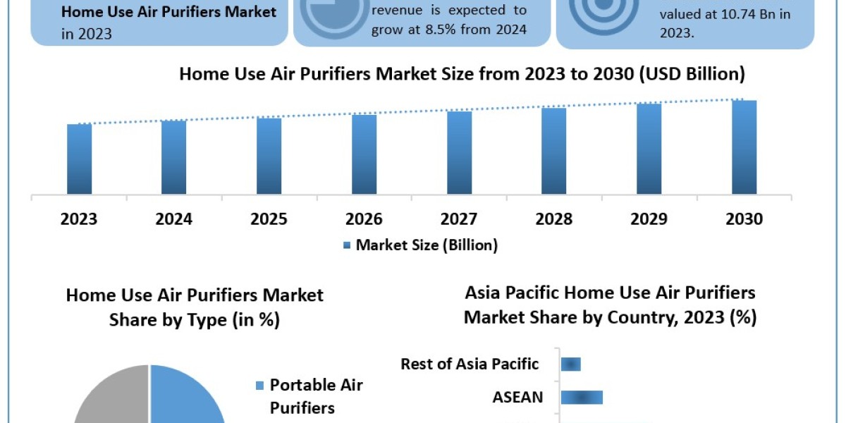Home Use Air Purifiers Market Data Dimensions: Size, Share, Revenue, and Worth Statistics Overview | 2024-2030