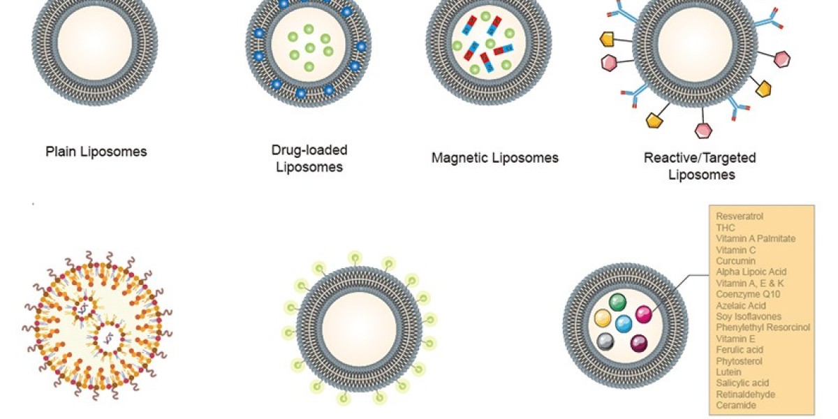Customized Liposomes for Targeted Delivery