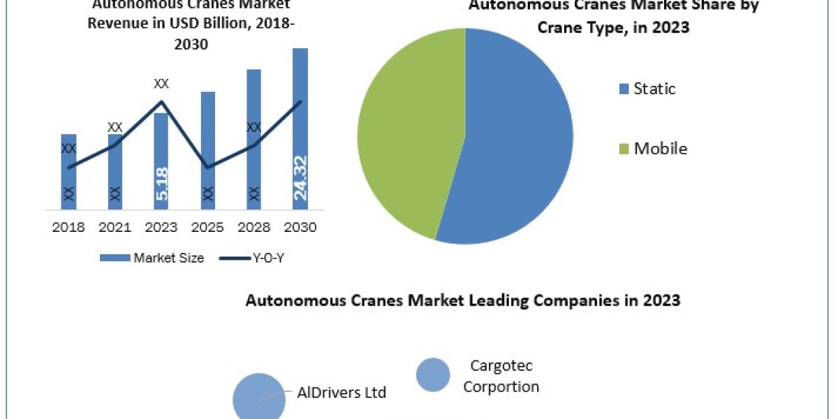 Autonomous Cranes Market Business Outlook, Revenue Forecast and Growth Prospective 2030