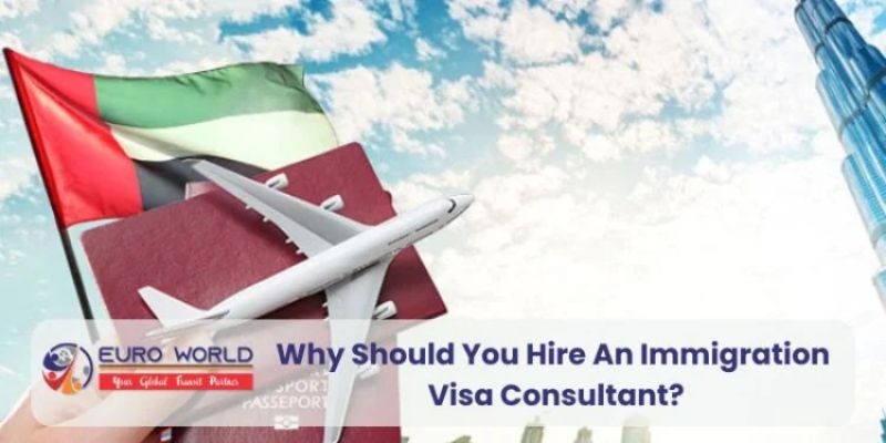 Why Should You Hire An Immigration Visa Consultant? - UAP Daily