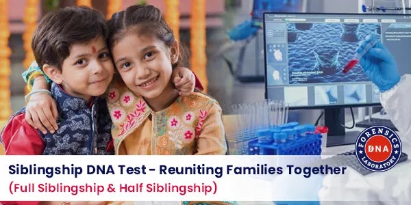 Sibling DNA Testing - Applications, Types and Procedure