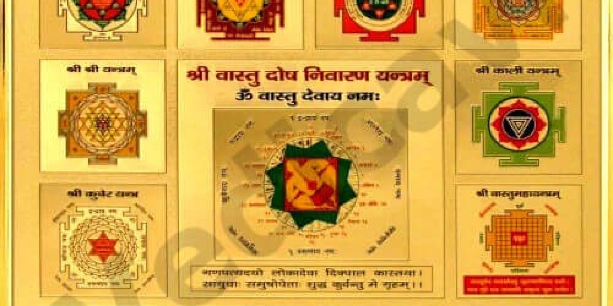 Pandit Ji for Vastu Dosh Nivaran and Havan with Swami Ajay Ji