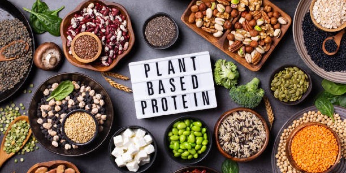 Plant Based Protein Market Report: Analysis, Share, Outlook, Growth, & Forecast 2025