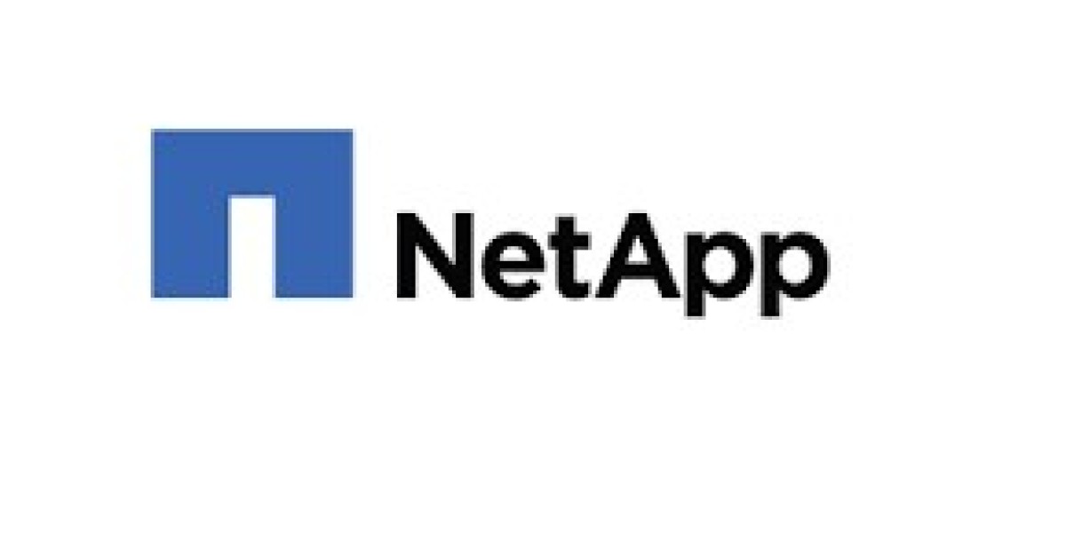 The Evolution of Data Management: How NetApp ONTAP is Shaping the Future