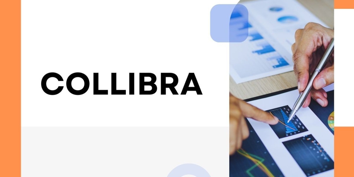 Elevating Data Management with Collibra: The Future of Data Governance