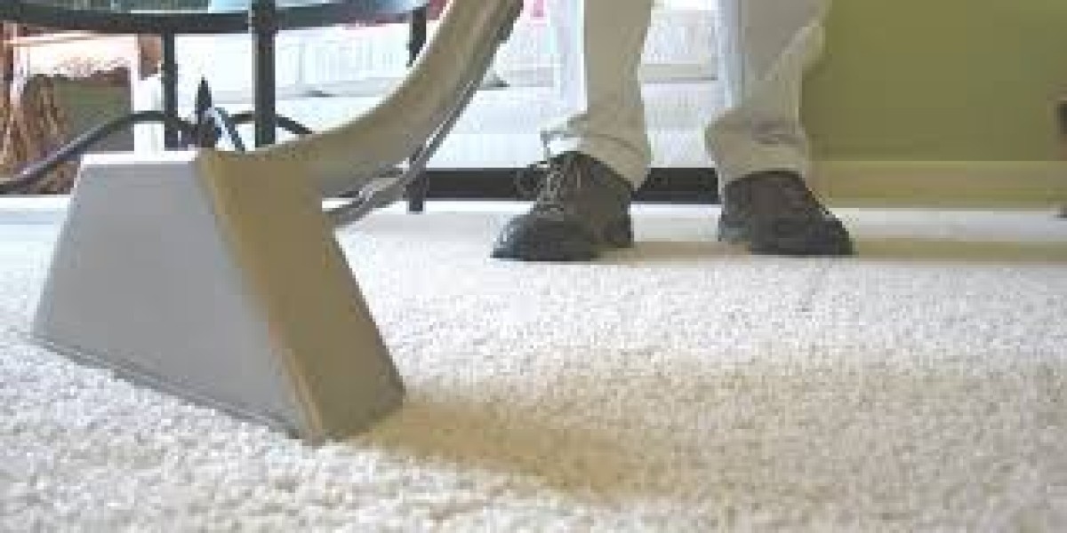 Choosing the Right Carpet Cleaning Service: What to Look For